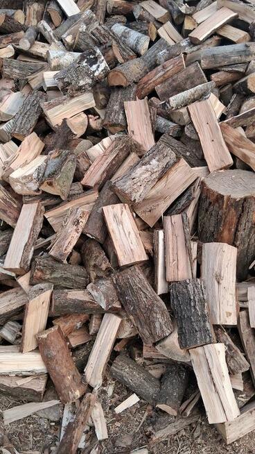 Drewno kominkowe