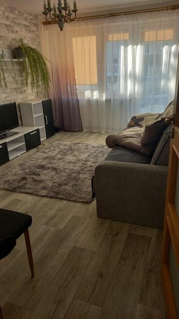 Mieszkanie do wynajęcia