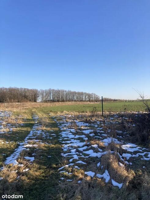 Działka budowlana 22 ary, Myślinów