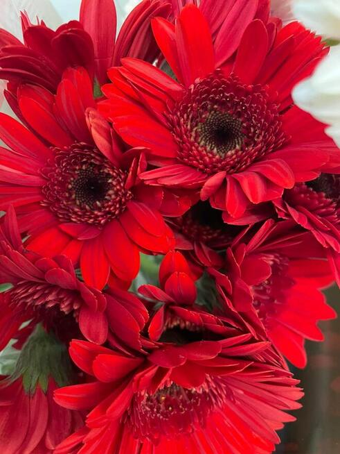 Szukam Żony Kobiecej kobiety gotowej na małżeństwo, dzieci,