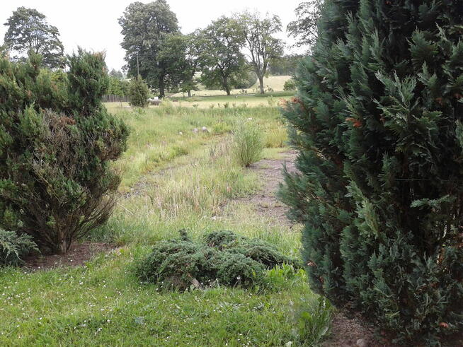 KASZUBY- Działka Uzbrojona - W.Z.