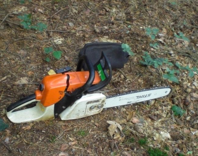 Usługi Ogrodniczo -Porządkowe