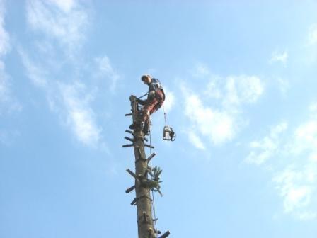 Usługi Ogrodniczo -Porządkowe