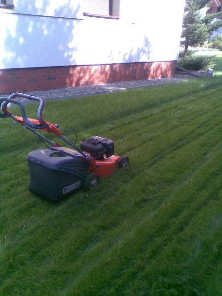 TRAWNIKI**SYSTEMY NAWADNIAJĄCE**USŁUGI OGRODNICZE**OGRODY