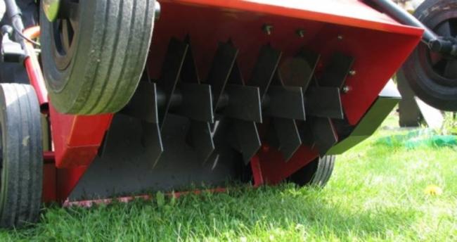 TRAWNIKI**SYSTEMY NAWADNIAJĄCE**USŁUGI OGRODNICZE**OGRODY