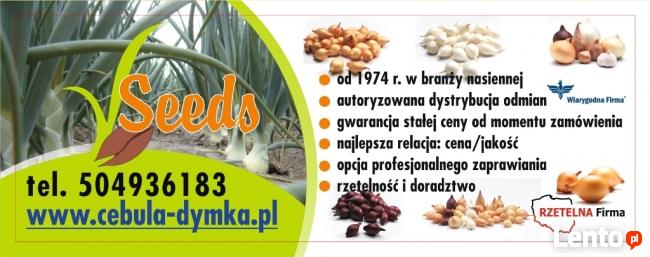 Onion sets лук севок цибуля сіянка arpagicul cebula dymka
