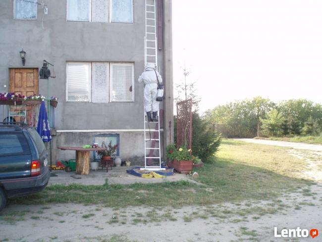 Odrobaczanie, odszczurzanie ,HACCP,usuwanie fetoru