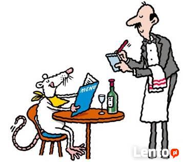 Odrobaczanie, odszczurzanie ,HACCP,usuwanie fetoru