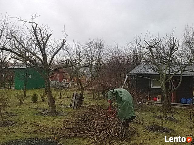 Sprzątanie ogrodów-przycinanie, pielęgnacja i wycinka drzew