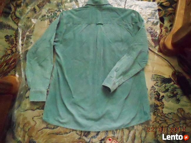 Koszula męska seledynowa