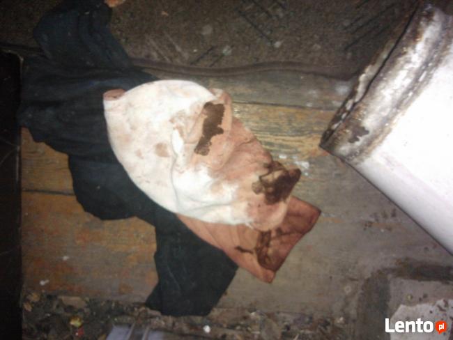 Dezynfekcja po zmarłym,zgonie-Lider na rynkuVECTOR-30%