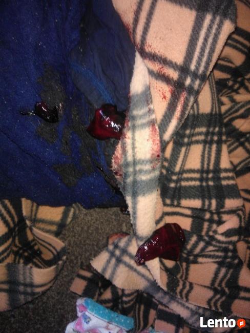 Dezynfekcja po zmarłym,zgonie-Lider na rynkuVECTOR-30%