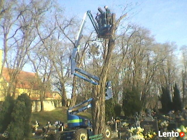 Wycinka,ścinka,pielęgnacja drzew,podnośnik