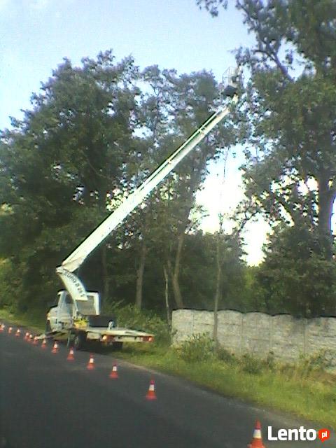 Wycinka,ścinka,pielęgnacja drzew,podnośnik