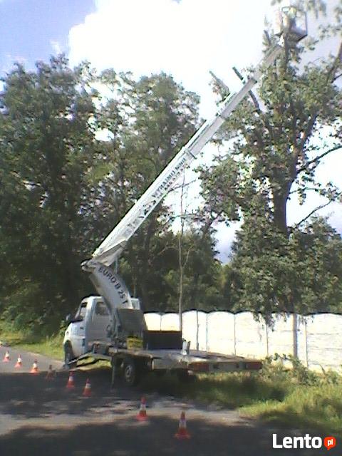 Wycinka,ścinka,pielęgnacja drzew,Jawor,Świdnica,Wrocław