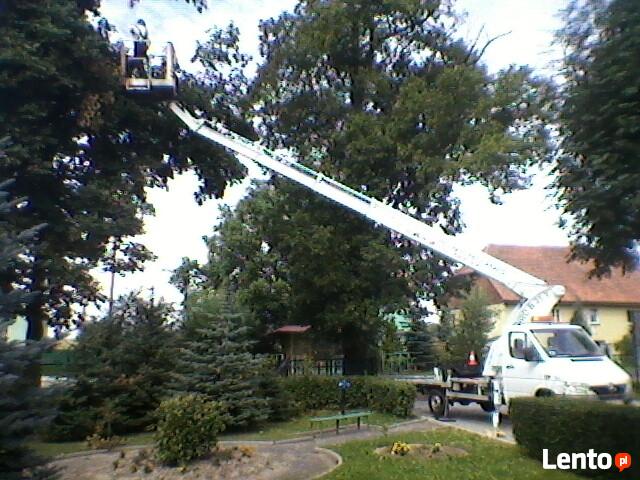 Wycinka,ścinka,pielęgnacja drzew,podnośnik