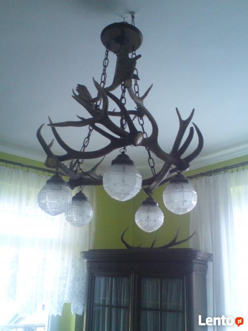 Sprzedam gabinet myśliwski