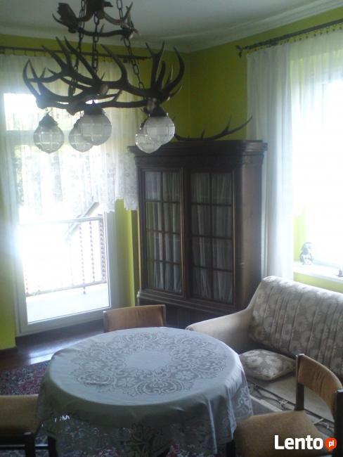 Sprzedam gabinet myśliwski