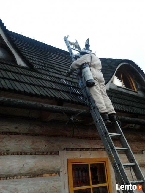 Likwidacja gniazd szerszeni i os - SZYBKO i SKUTECZNIE