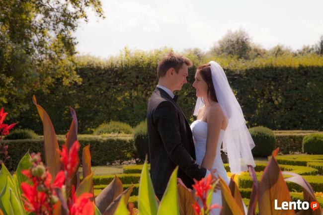 Fotografia ślubna i weselna -Najniższe ceny