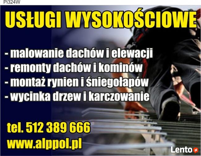 REMONTY DACHÓW USZCZELNANIE DACHÓW MALOWANIE DACHÓW