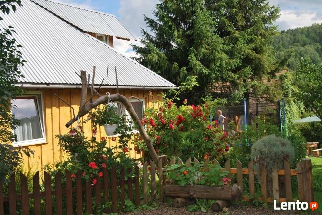 Bieszczady-domki całoroczne z kominkiem,pokoje,apartamenty