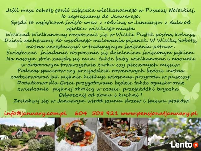 Noclegi, Wypoczynek, Wycieczki, Integracja, Imprezy