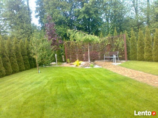 OGRODNIK ,ogrodnictwo,usługi ogrodnicze ,pielęgnacja zieleni