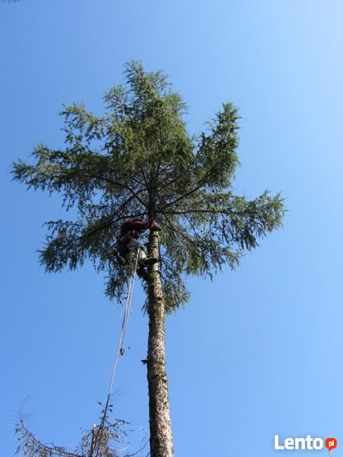 Wycinka drzew, gałęzi usuwanie Wieliczka
