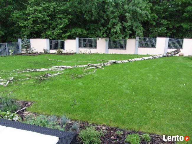 Wycinka drzew, gałęzi usuwanie Wieliczka