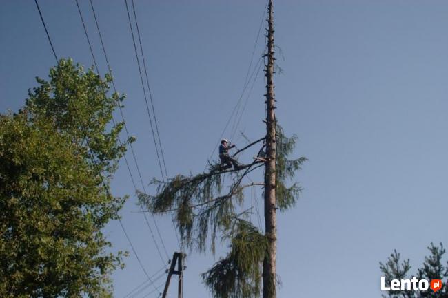 Wycinka drzew, gałęzi usuwanie Wieliczka