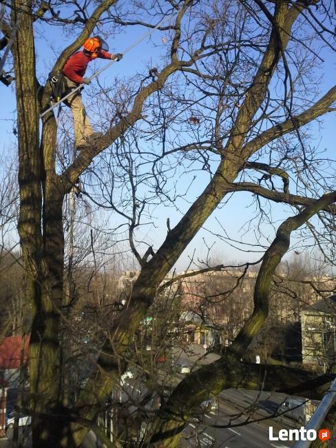 Wycinka drzew, gałęzi usuwanie Wieliczka