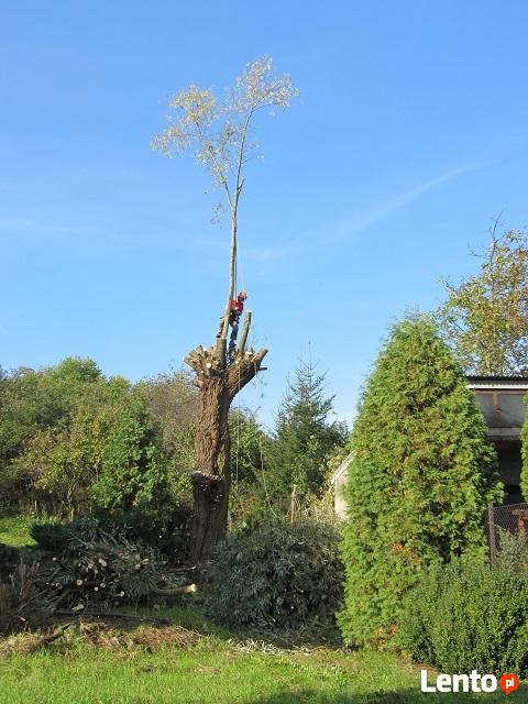 Wycinka drzew, gałęzi usuwanie Wieliczka