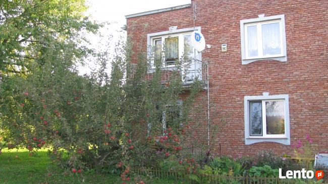 Gospodarstwo agroturystyczne Zaścianek Dzierążnia11