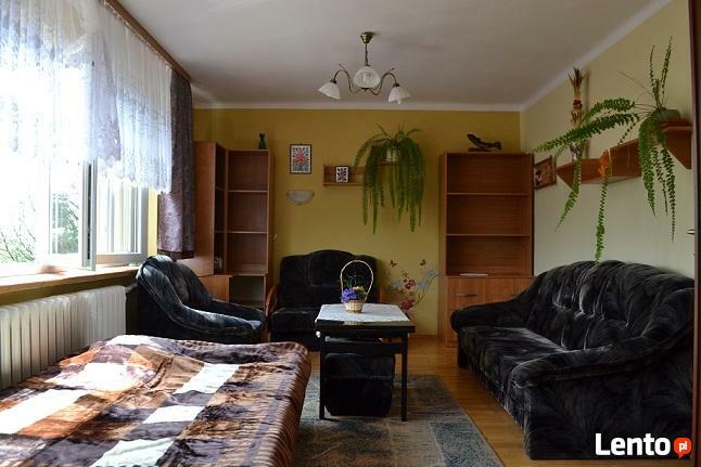 Gospodarstwo agroturystyczne Zaścianek Dzierążnia11