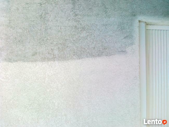 Czyszczenie,Mycie,Elewacji,Kostki Brukowej,Dachów