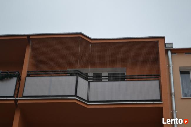 Siatka dla kota, siatka na balkon - Łódź