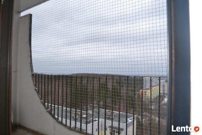 Siatka dla kota, siatka na balkon - Łódź