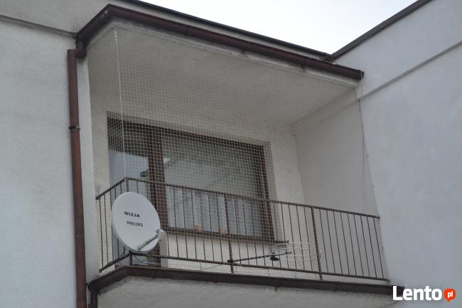 Siatka dla kota, siatka na balkon
