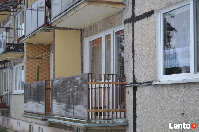 Siatka dla kota, siatka na balkon - Łódź