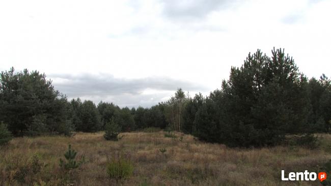 Działki bud. 2400m2 -/25zł m2/, CZARNA gm.Pierzchnica