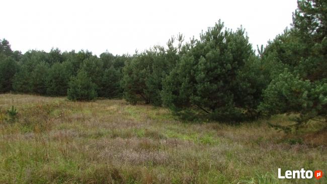 Działki bud. 2400m2 -/25zł m2/, CZARNA gm.Pierzchnica