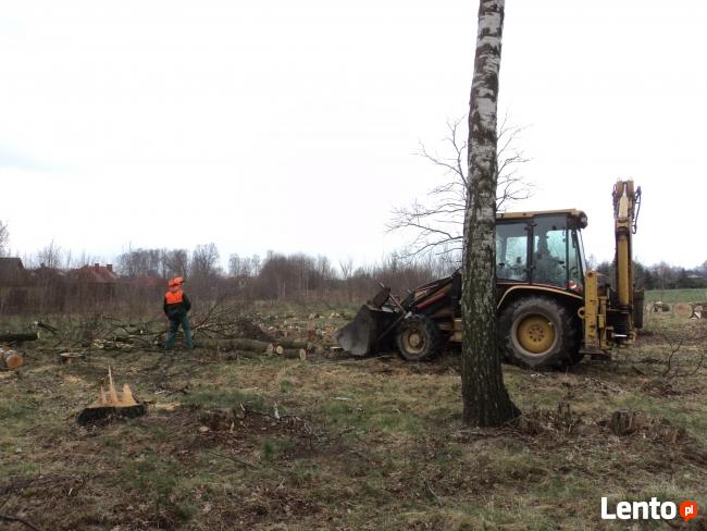 Wycinka drzew Łódź, przygotowanie terenu pod budowę