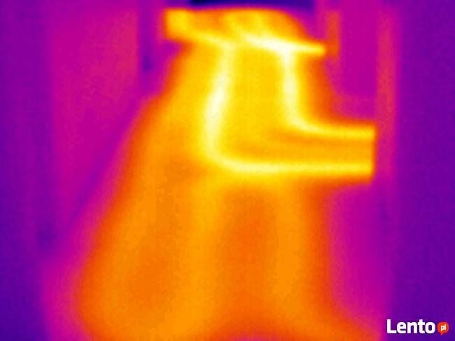 Kamera termowizyjna Łódź. Sprawdzenie wilgotności ścian.