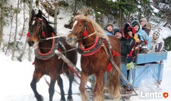 BP VARIUSTUR wycieczki , transfery lotniskowe, wizy, bilety