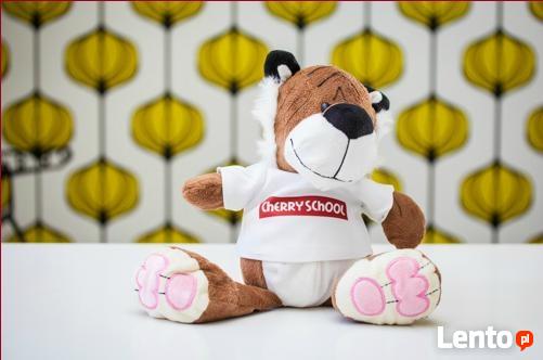 Korepetycje matematyka fizyka chemia Tarchomin Białołęka