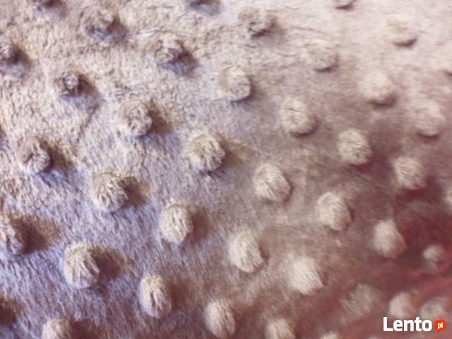 Polar dla kreatywnych