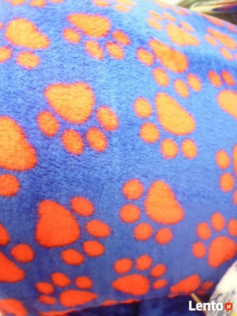 Polar dla kreatywnych