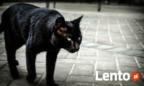 rytualy, magia milosne,milosc,finanse,ochrona,intencje,płodn