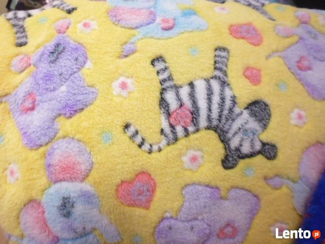 Polar dla kreatywnych